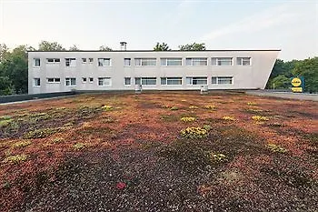 Hotel Petul 3*